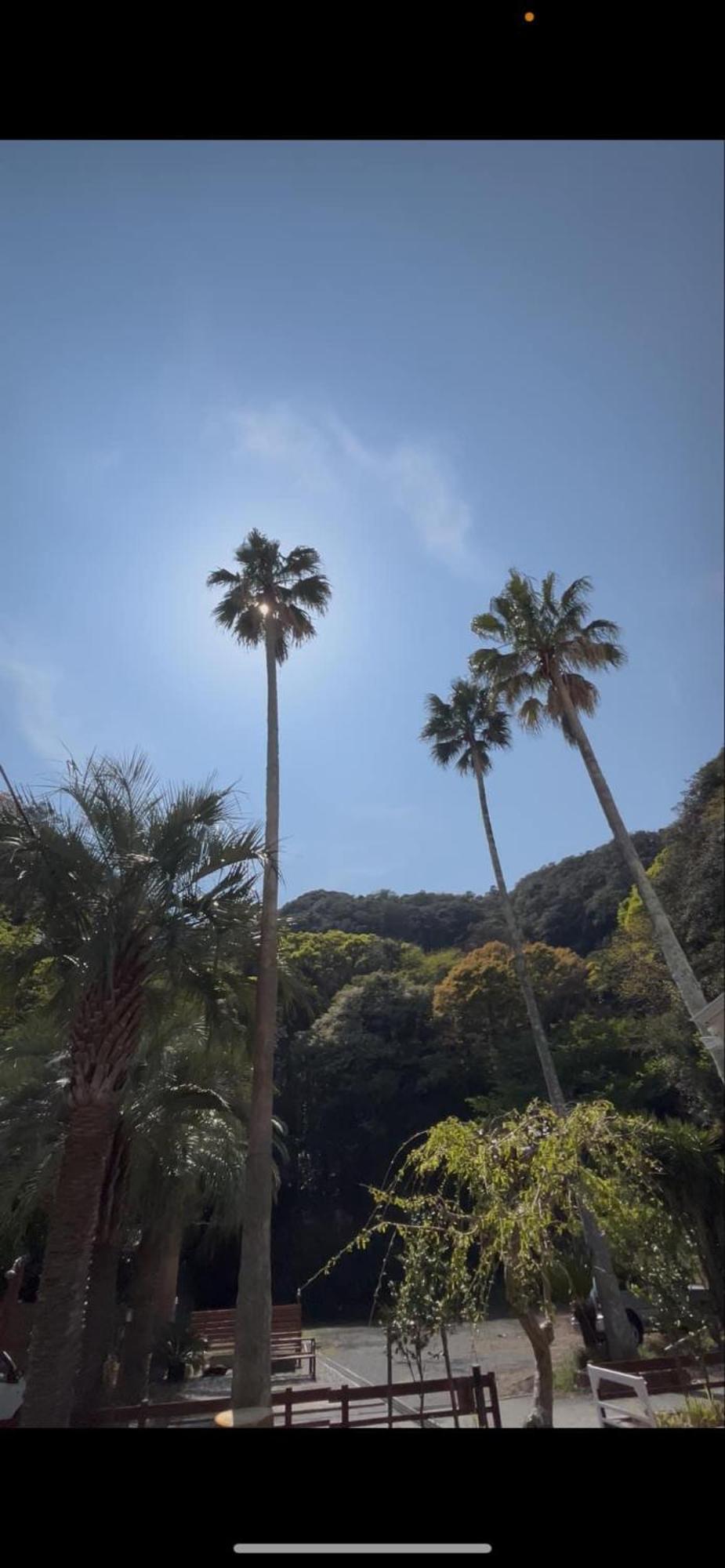 The Surf Lodge White Beach 下田 外观 照片